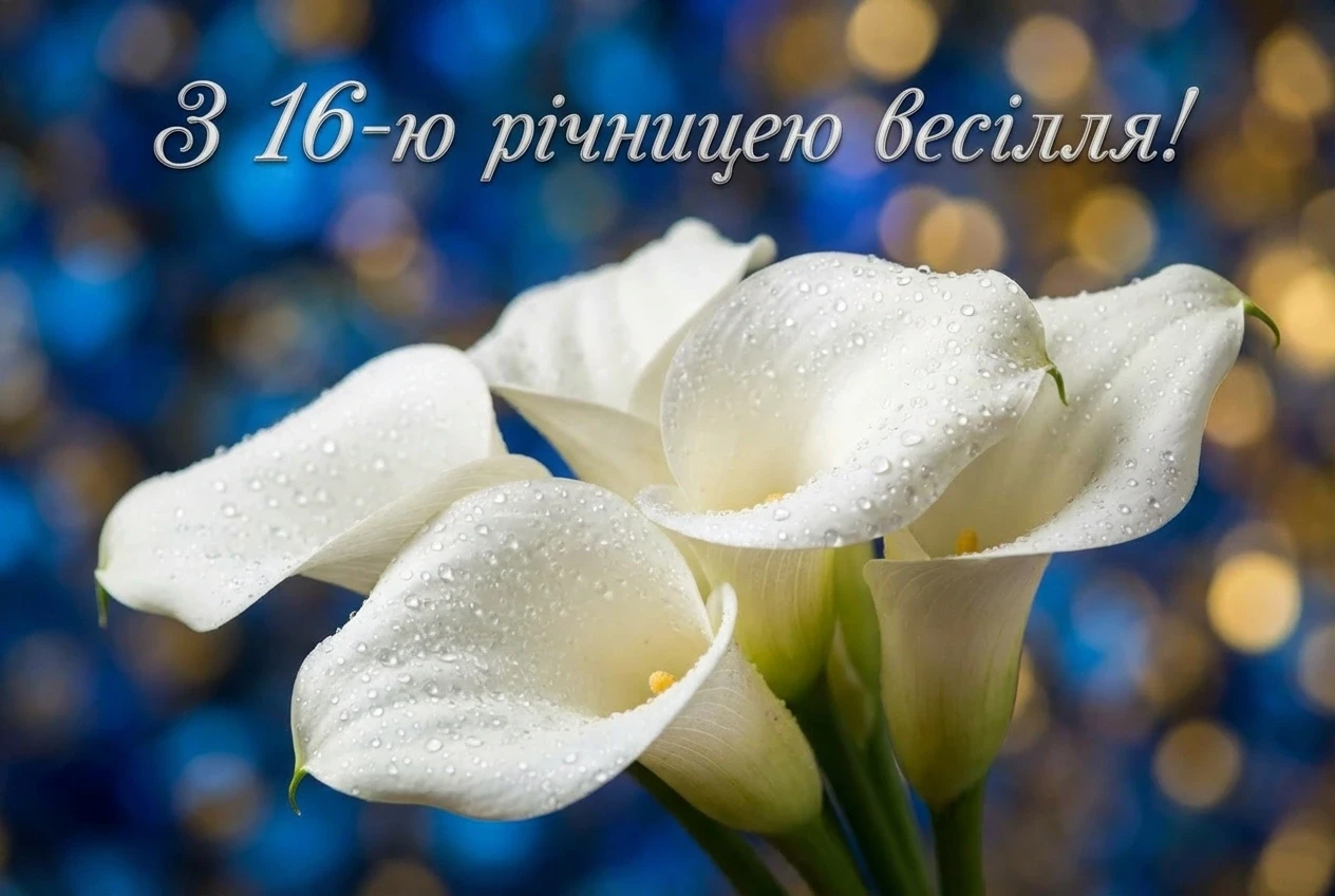 16 років весілля картинки