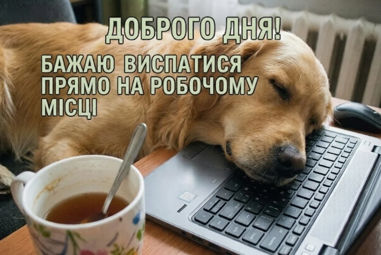 Доброго дня: картинки українською мовою для найтепліших побажань
