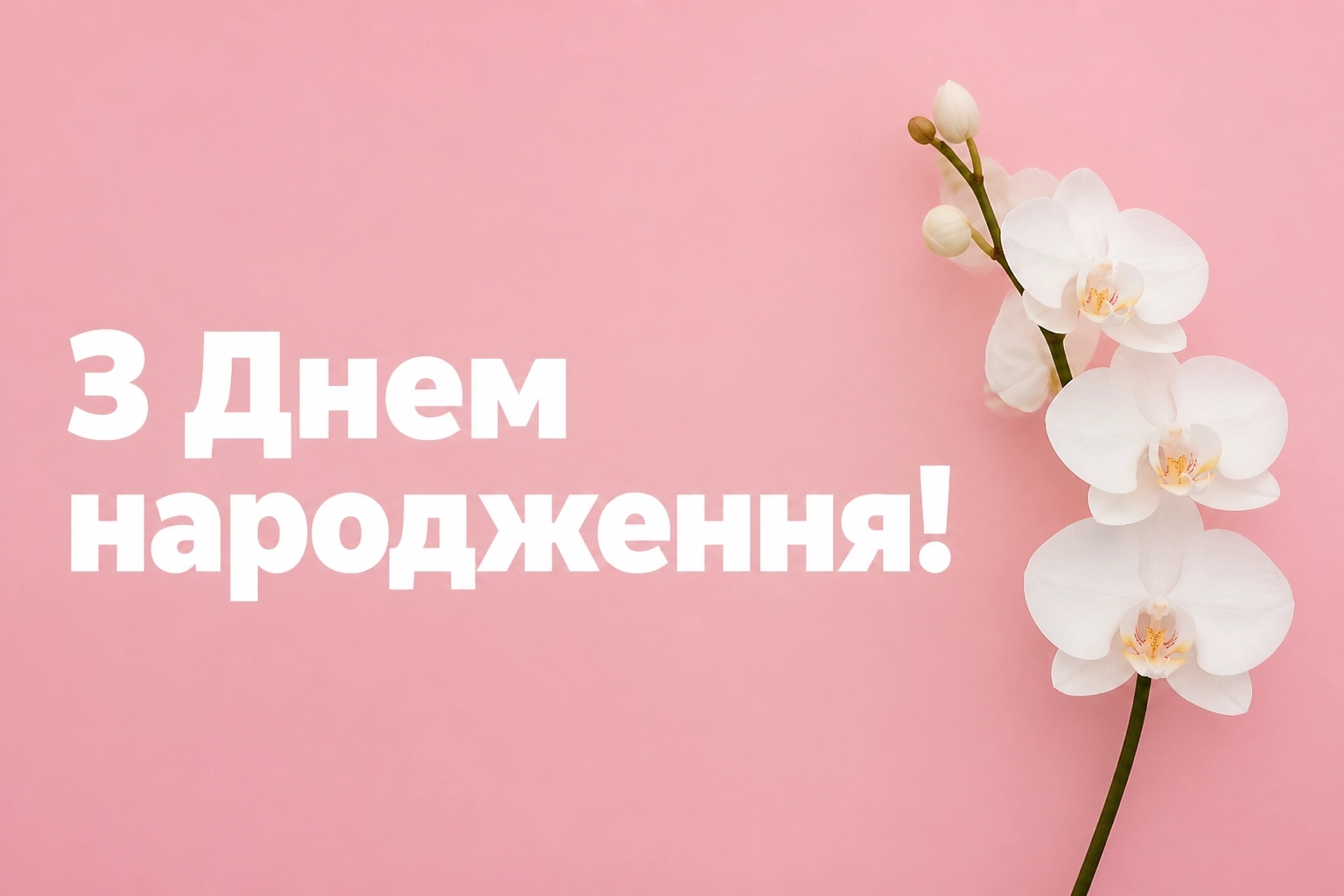 привітання з днем народження невістці